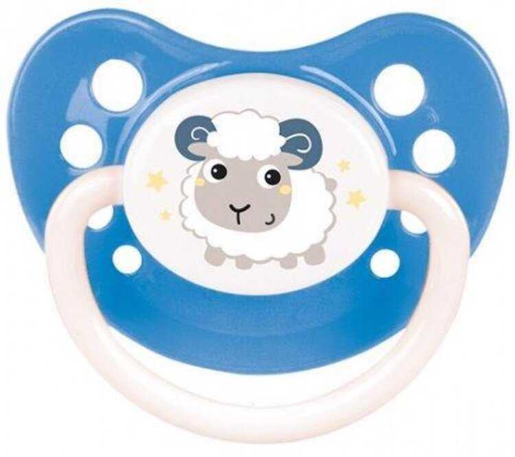 CANPOL BABIES Dudlík silikonový anatomický 0-6m Bunny & Company – modrý Canpol Babies