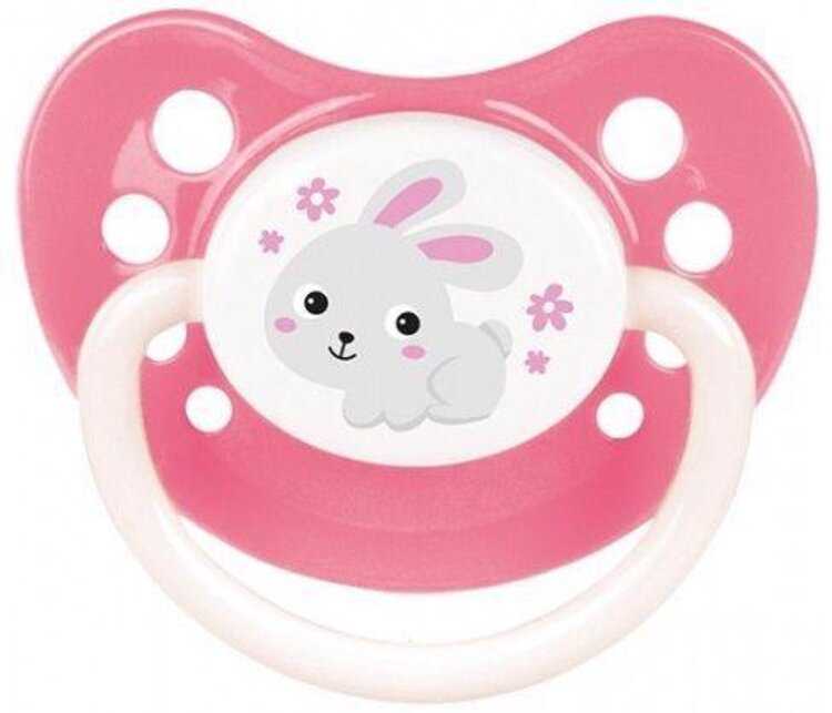 CANPOL BABIES Dudlík silikonový anatomický 18m+ Bunny & Company – růžový Canpol Babies