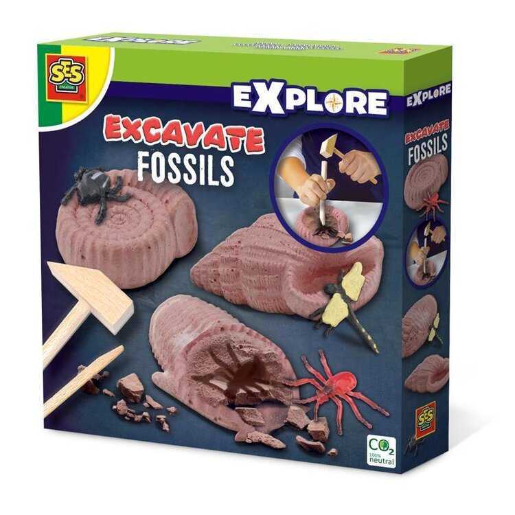 SES Vykopávky fosilií Ses