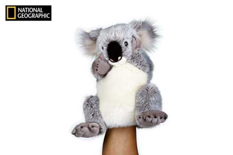NATIONAL GEOGRAPHIC maňásek Koala 26 cm National Geographic