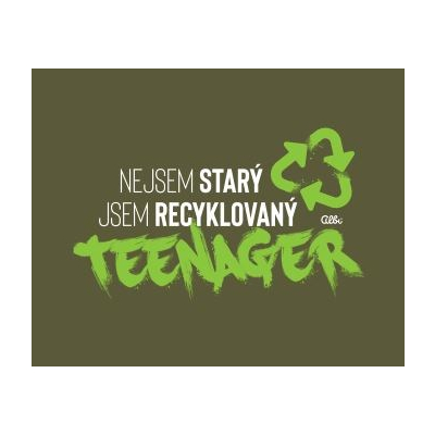 Pánské humorné tričko - Teenager