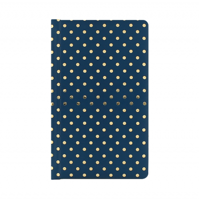 Modrý blok ALBI ALBI