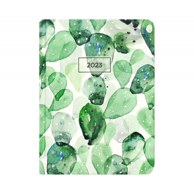 Týdenní diář - Kaktus ALBI ALBI