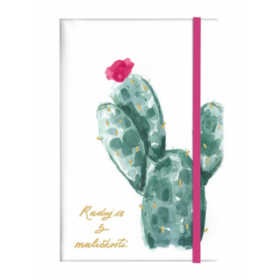 Blok - Kaktus Albi Albi