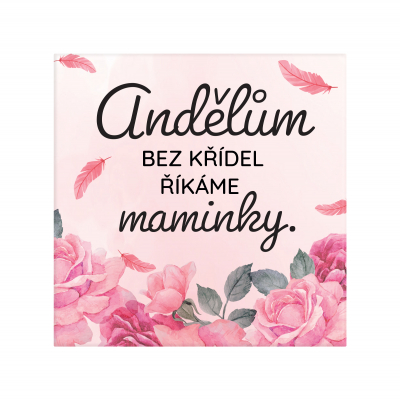 Magnetka - Maminka anděl Albi Albi