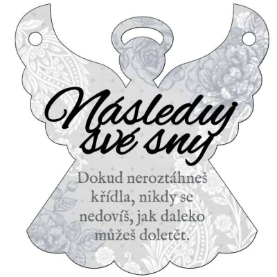 Plaketka - Následuj své sny Albi Albi