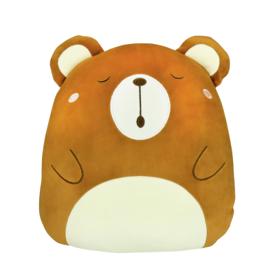 Polštář a deka 2v1 - Medvídek Albi Albi