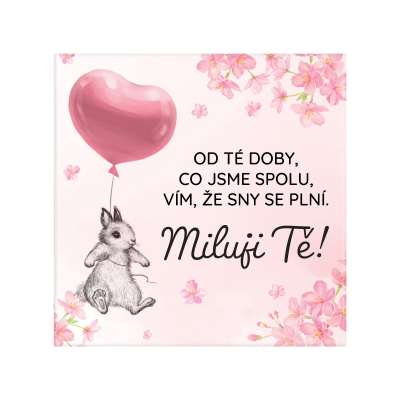 Magnetka - Miluji Tě Albi Albi