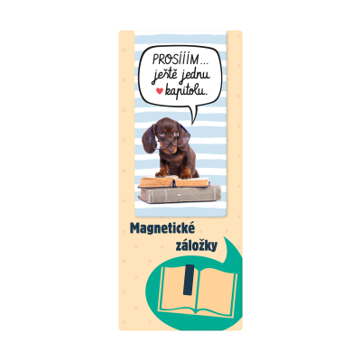 Magnetická záložka - Kapitola Albi Albi