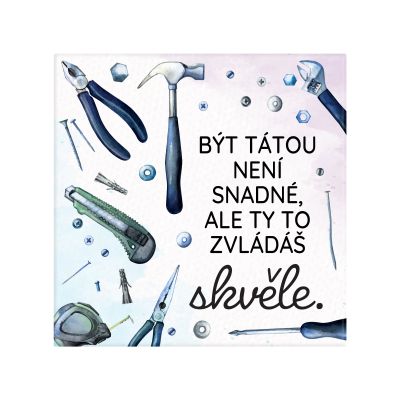 Magnetka - Táta Albi Albi