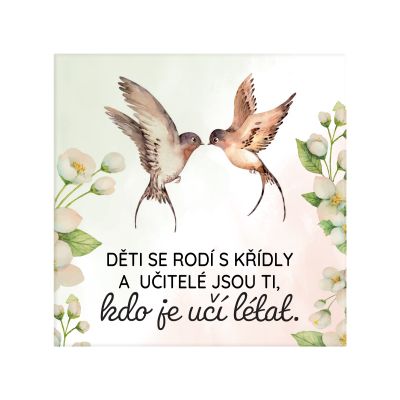 Magnetka - Učitelé Albi Albi