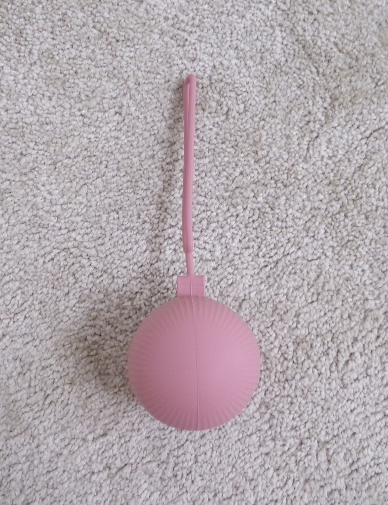 PETITE&MARS Pouzdro silikonové na dudlík Dusty Rose 0m+ Petite&Mars