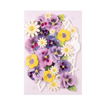 Luxusní přání - Košík s maceškami Albi Albi