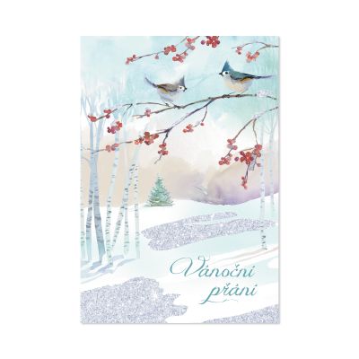 Vánoční přání - Dvě sýkorky Albi Albi