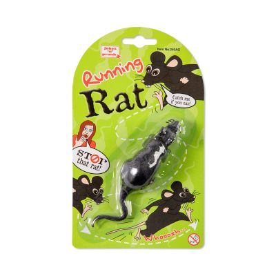 Běžící krysa Albi Albi