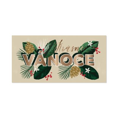 Vánoční obálka na peníze - Šišky a větvičky Albi Albi