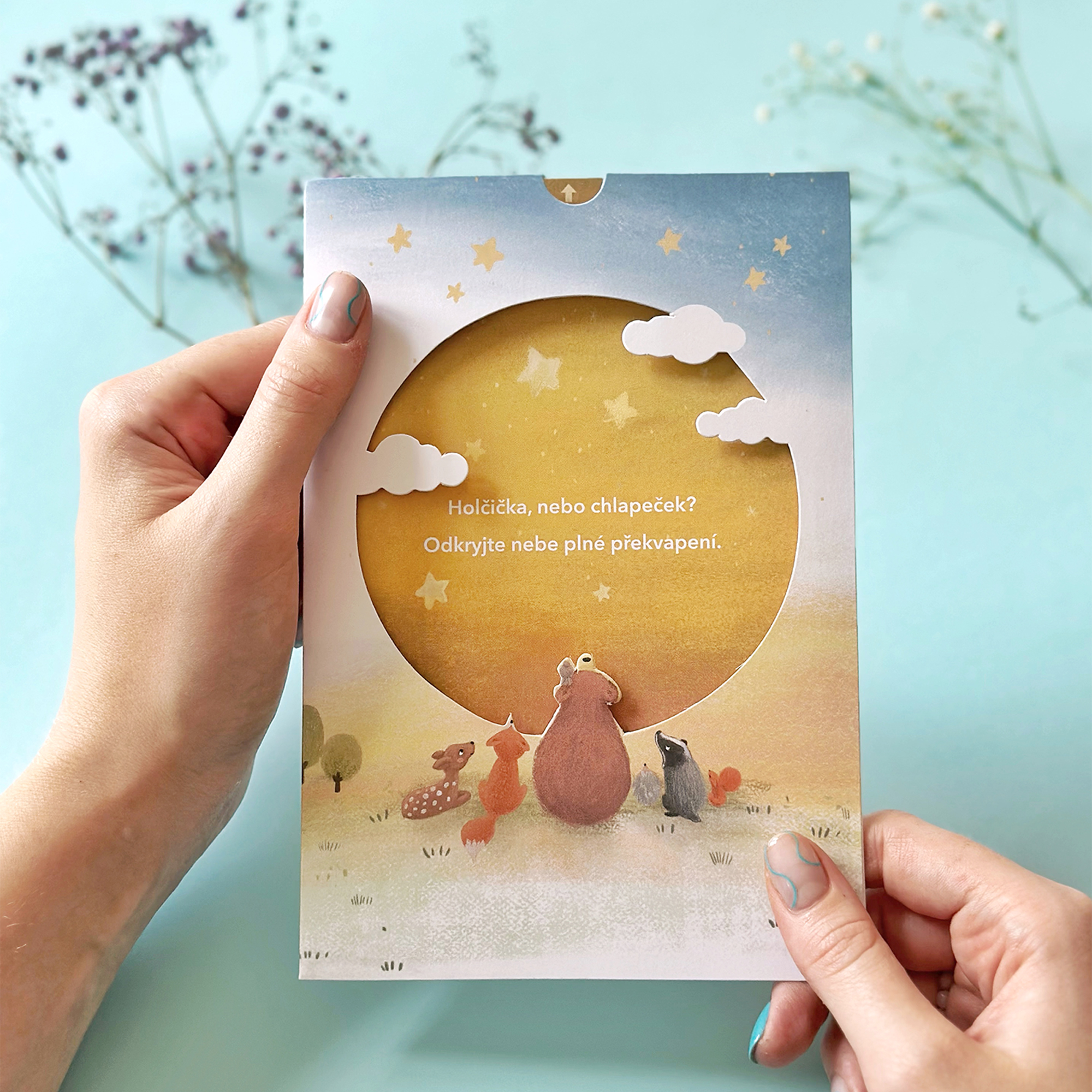 Odhalení pohlaví miminka - Budeme mít chlapečka Albi Albi