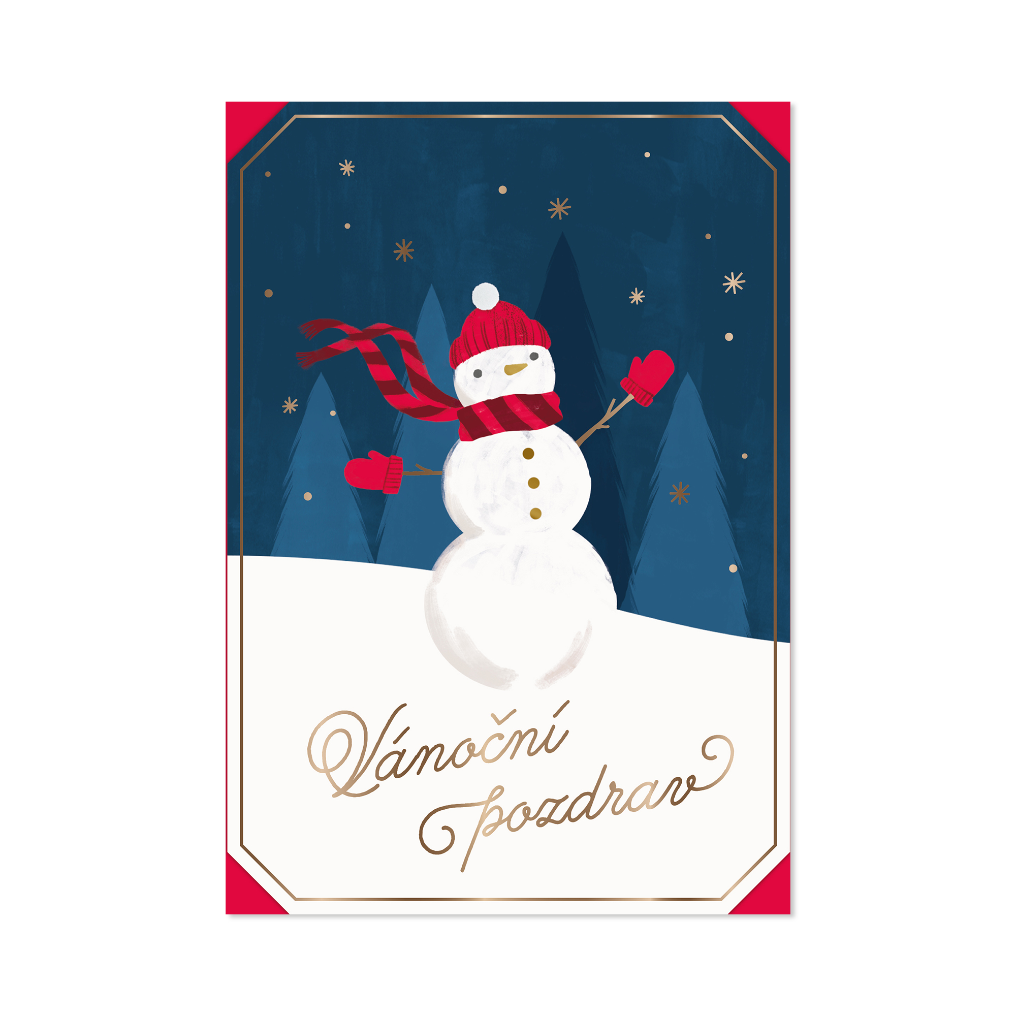 Vánoční přání - Sněhulák s kulichem a šálou Albi Albi