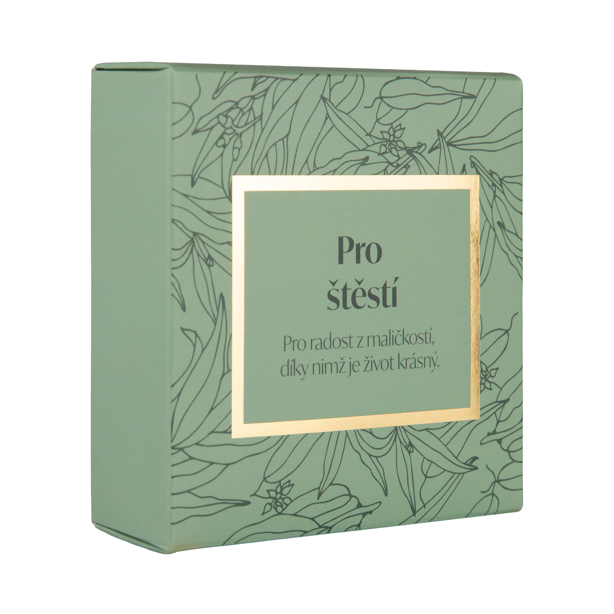 Čokoládové bonbóny - Pro štěstí Albi Albi