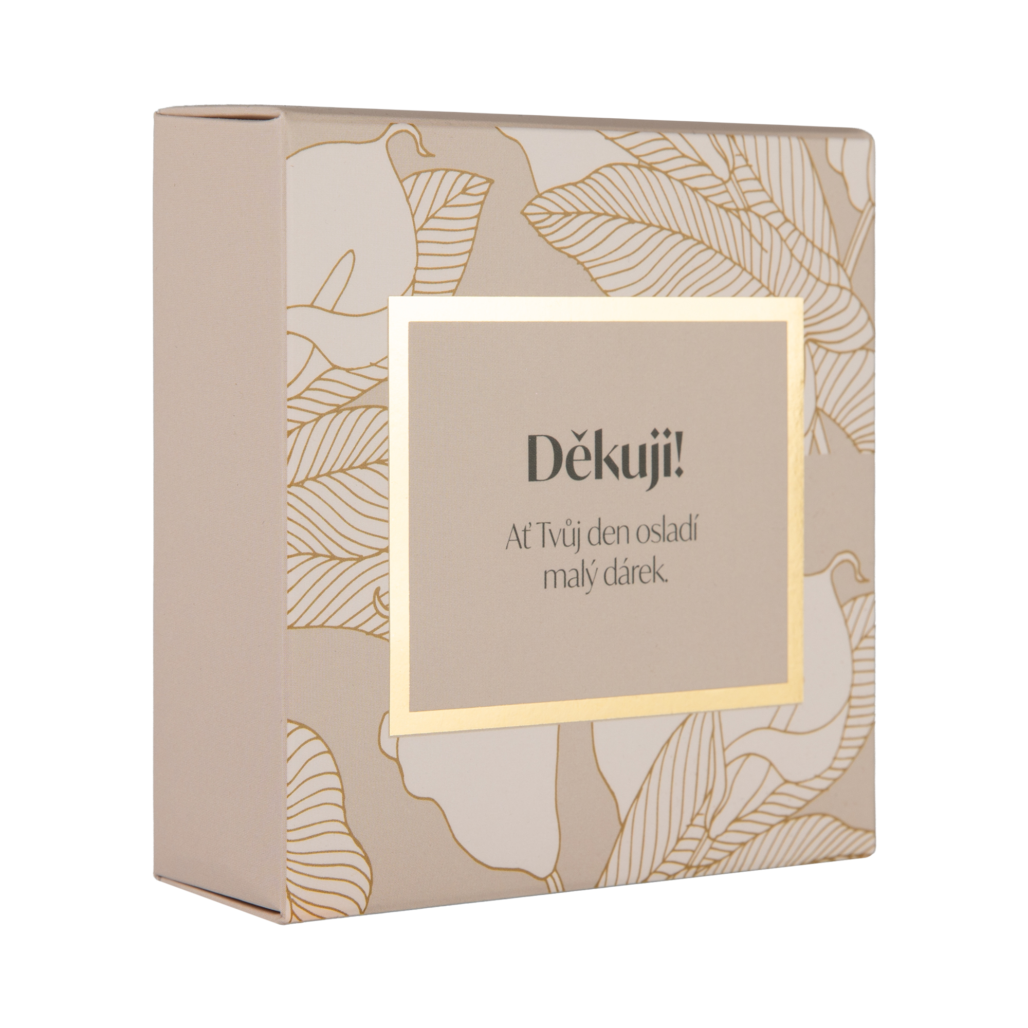 Čokoládové bonbóny - Děkuji Albi Albi