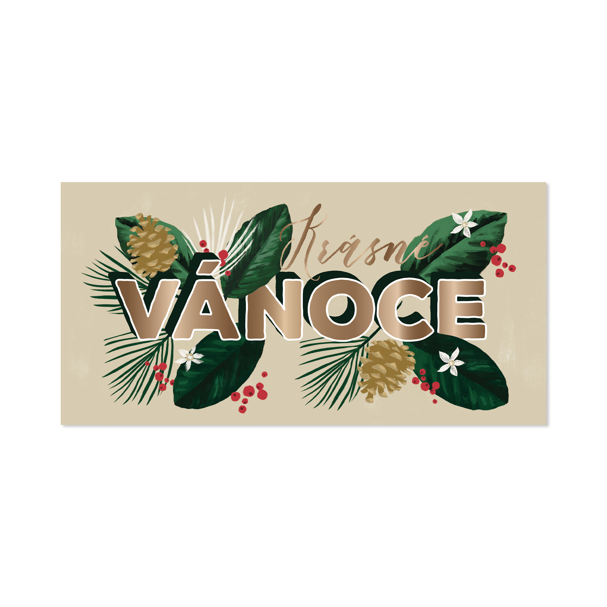 Vánoční obálka na peníze - Šišky a větvičky Albi Albi