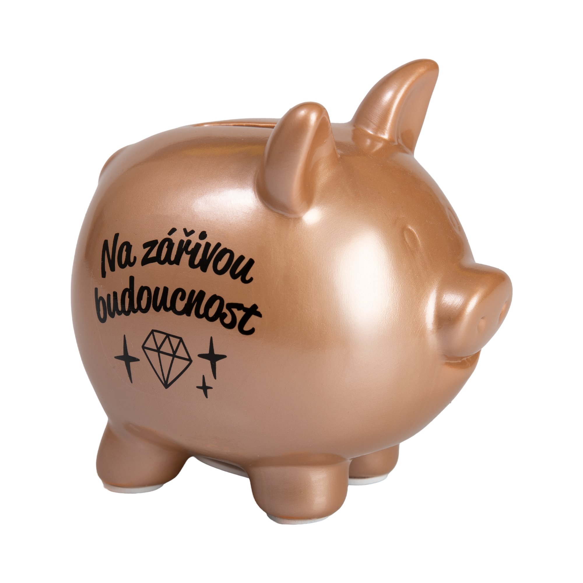 Pokladnička - Na budoucnost Albi Albi