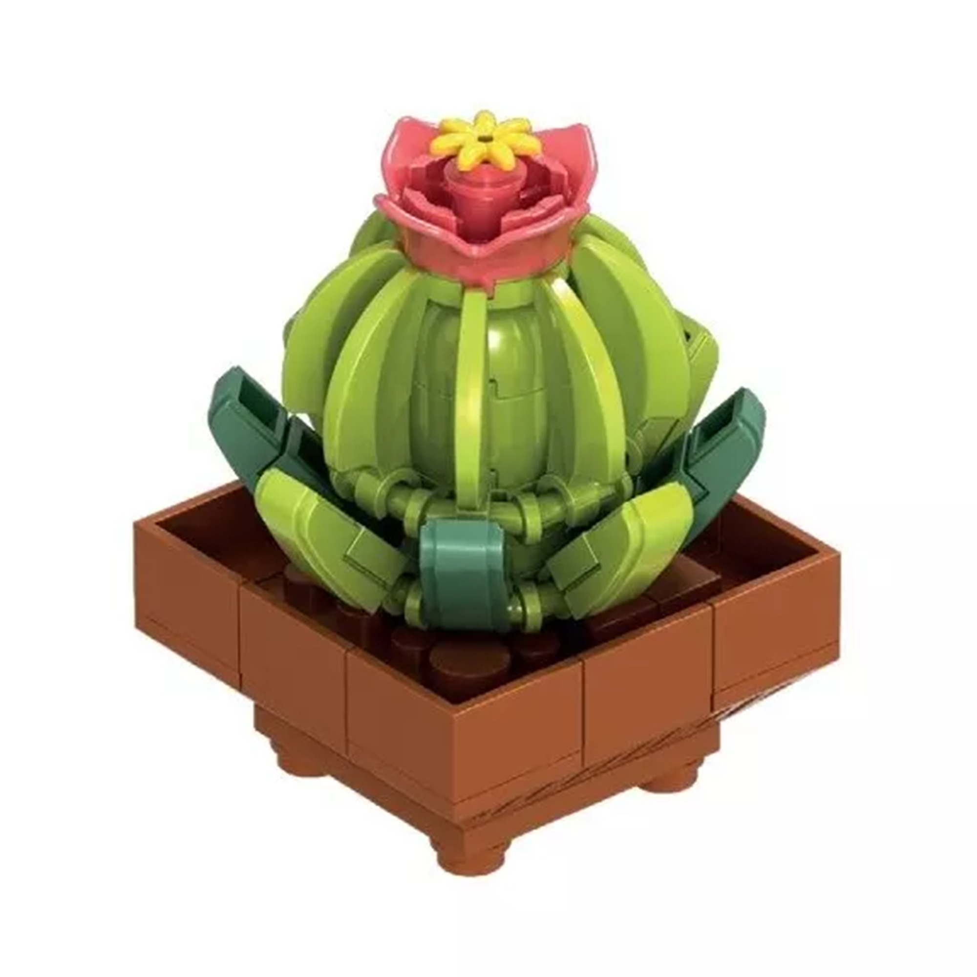 Květinová stavebnice Exotic - Ariokarpus NICE SRL NICE SRL