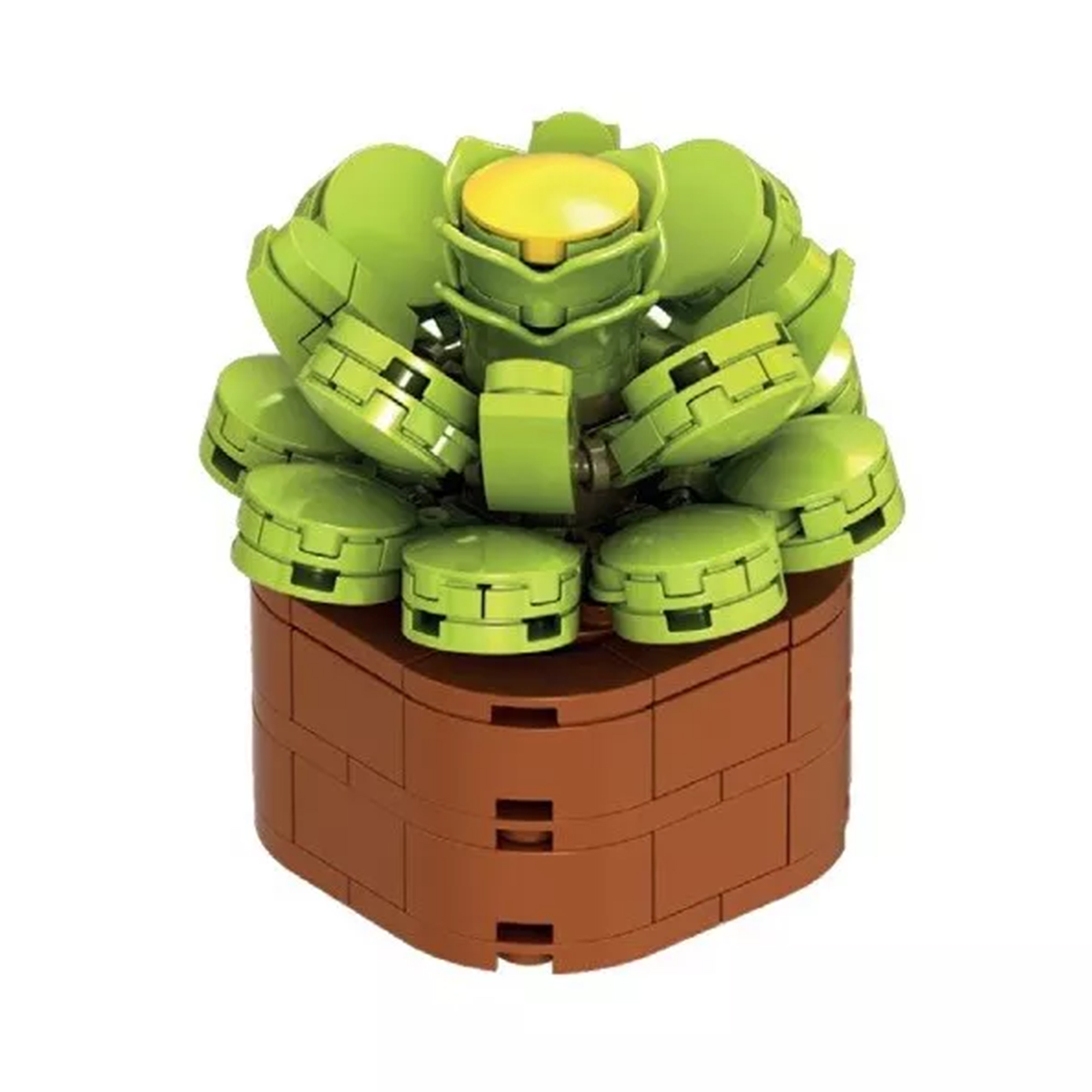 Květinová stavebnice Exotic - Eonium kanárské NICE SRL NICE SRL