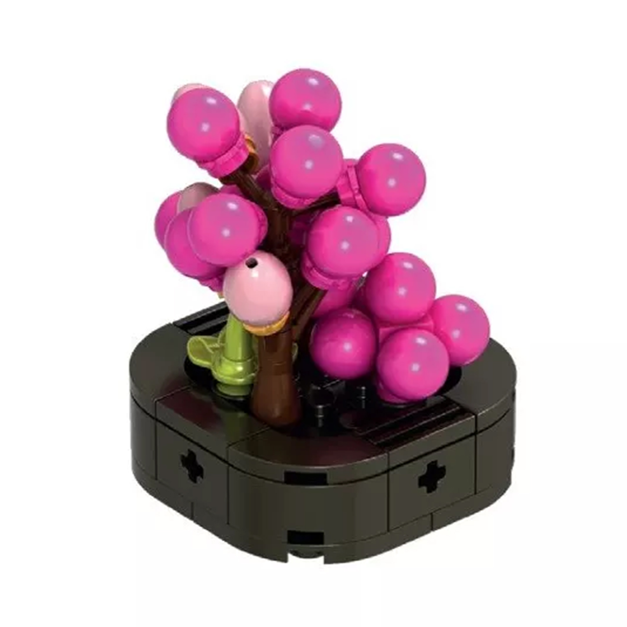 Květinová stavebnice Exotic - Korálovka NICE SRL NICE SRL