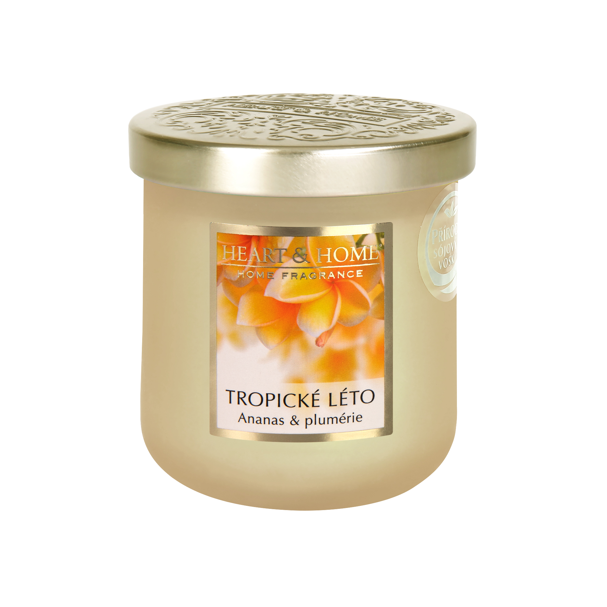 Střední svíčka - Tropické léto Albi Albi