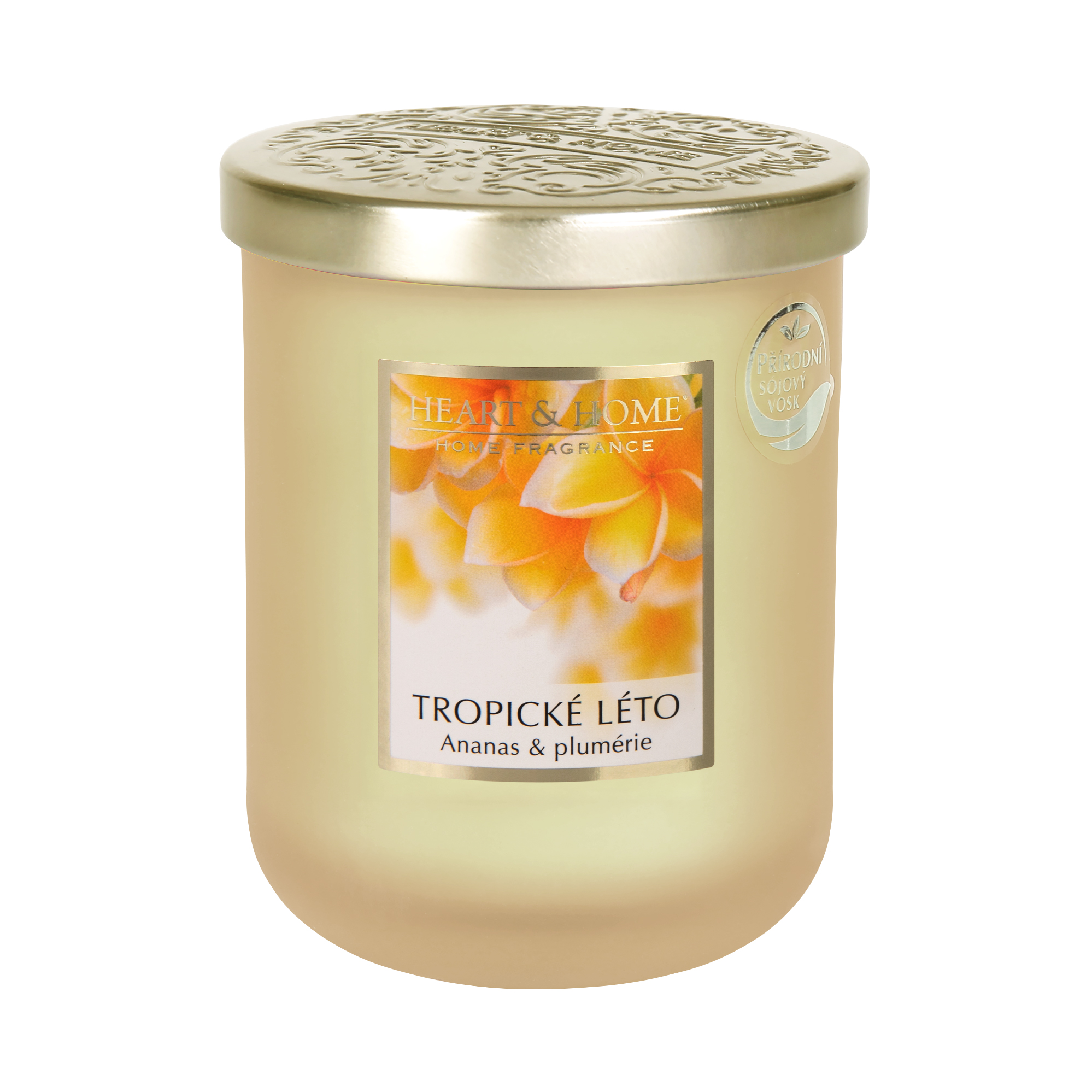 Velká svíčka - Tropické léto Albi Albi