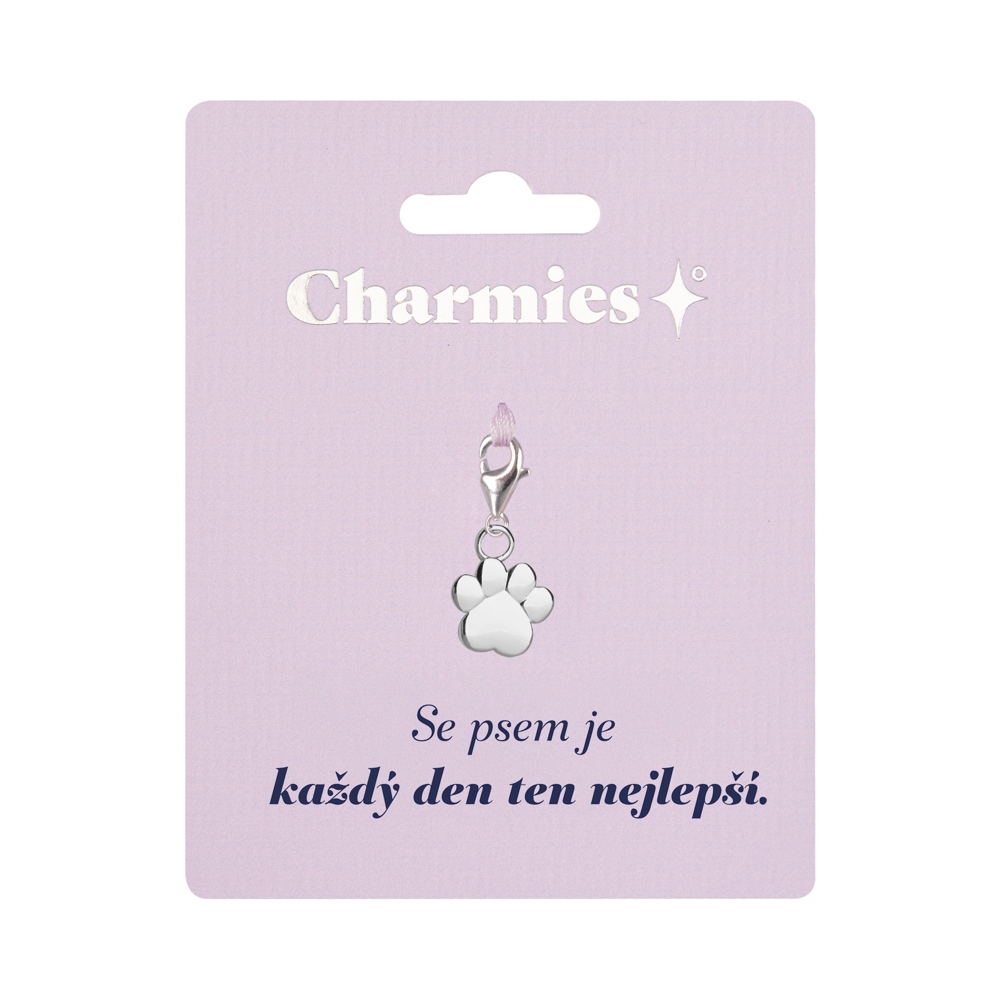 Stříbrný přívěsek tlapky - Se psem Albi Albi